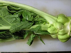 ザーサイ(搾菜):植物としての特徴と漬物の歴史