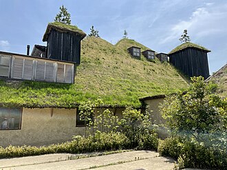 建築物の屋上緑化における手法と歴史的背景