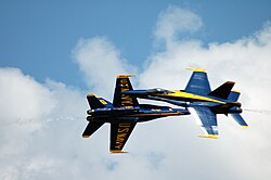 ブルーエンジェルス によるアクロバット飛行