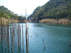 長野県西部地震による河道閉塞