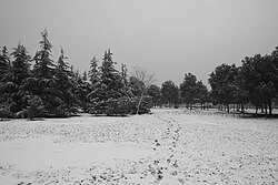 雪に覆われた上海市の風景