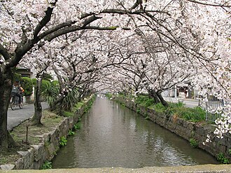八尾市：大阪府の中核市