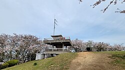 展望台とFMラジオ送信アンテナ