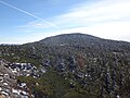 西吾妻山の樹氷