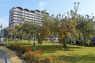 長野県飯田市の概要と地理・歴史的特徴