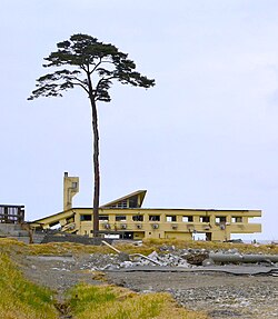 東日本大震災の象徴:岩手県陸前高田市の「奇跡の一本松」の歴史と保存