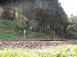 御手植え杉(富山県富山市)