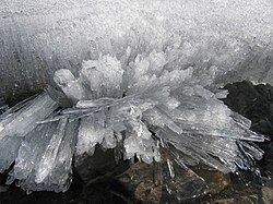 長く伸びた柱状の氷晶