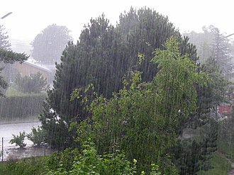 雨の科学的メカニズムと気象学的特性
