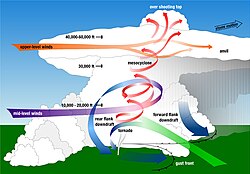 スーパーセル内の気流の流れ