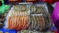 コウライエビの生態と特徴について