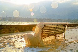 ジュネーブのレマン湖畔の氷
