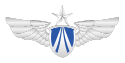 空軍の定義と歴史的役割
