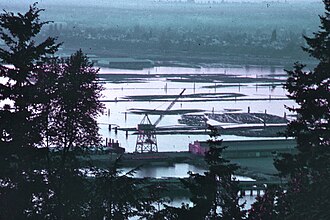 1972年、ワシントン州ベリンハムの港に浮かぶ丸太