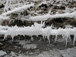 樹枝状の霜の様子
