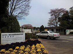 花き研究所
