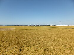 能代平野の地理と特徴