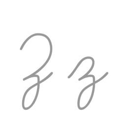 Zについて:ラテン文字の最終文字と多様な用途