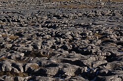 石灰岩舗石の地形学的特徴と形成プロセス