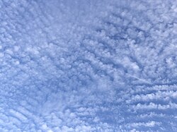 房状波状巻積雲の詳細