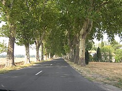道路の歴史と交通における役割に関する考察
