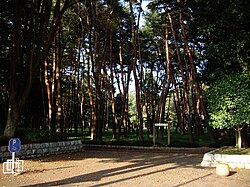 赤塚公園の園内風景