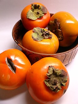 カキノキ:植物学的特徴と栽培の歴史