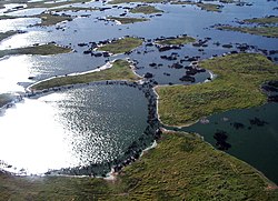 湿地の生態系と環境的特徴