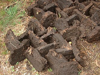 泥炭(ピート):形成と利用、環境への影響