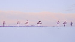 冬の雪原