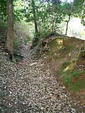 船岡山城の横堀