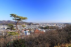 織姫公園より見下ろす足利市