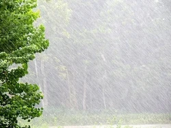 集中豪雨のメカニズムと気象学的定義