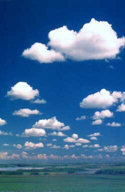 小さな積雲の群れが遥か向こうまで広がる