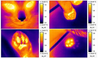 サーモグラフィの概要と応用