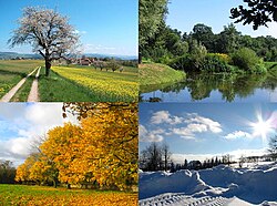年(時間の単位)