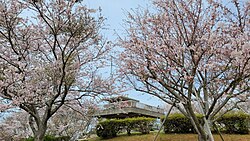 竜王山 (山陽小野田市)