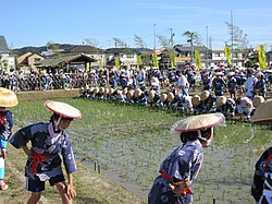 六ツ美悠紀斎田お田植えまつり