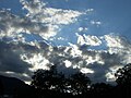 薄い雲が広がる空の様子
