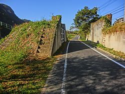 吉井川の陸閘門。旧同和鉱業片上鉄道線に設置された事例