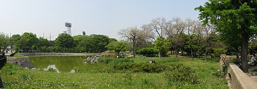 新緑の生態と文化的背景