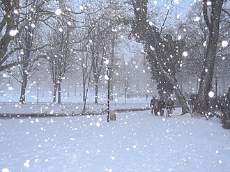 雪の気象学的特性と分類
