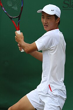 望月慎太郎：日本を代表するプロテニス選手の経歴と実績
