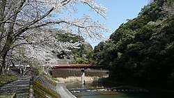 支流の姶良川