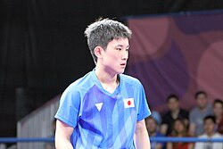 張本智和の経歴と主な戦績