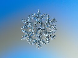 天然の雪片をマクロ撮影したもの