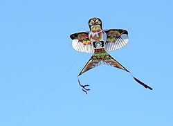 中国の伝統凧「黒鍋底（ヘイクオテエ）」