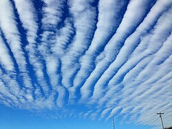 ロールのような形の放射状波状高積雲