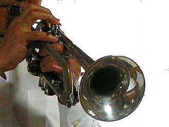パイプには楽器用もある。