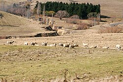ガリ(地形)の解説:侵食による形成過程と特徴